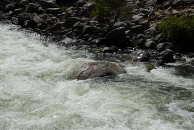 DSC_2241 (Large).JPG